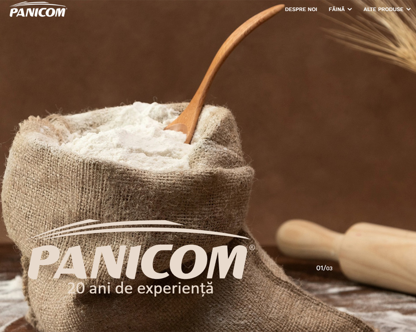 panicom